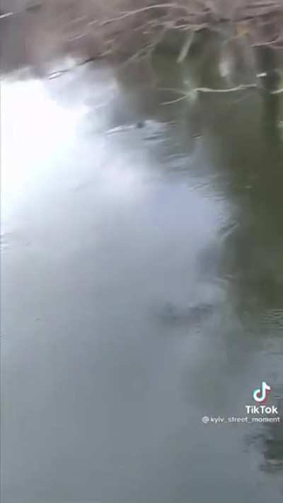 Another day of waking up and finding a Russian tank in your local river