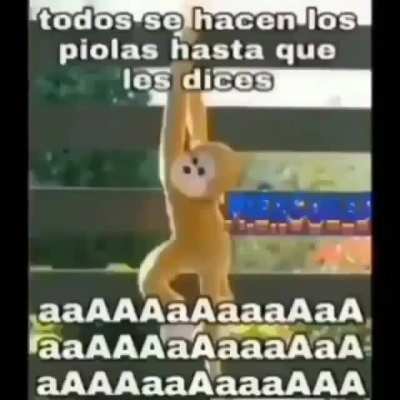 Pitounga
