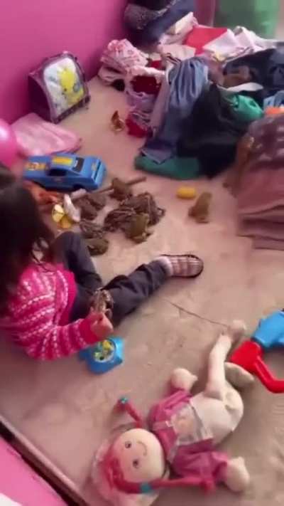 A princesa e os sapinhos