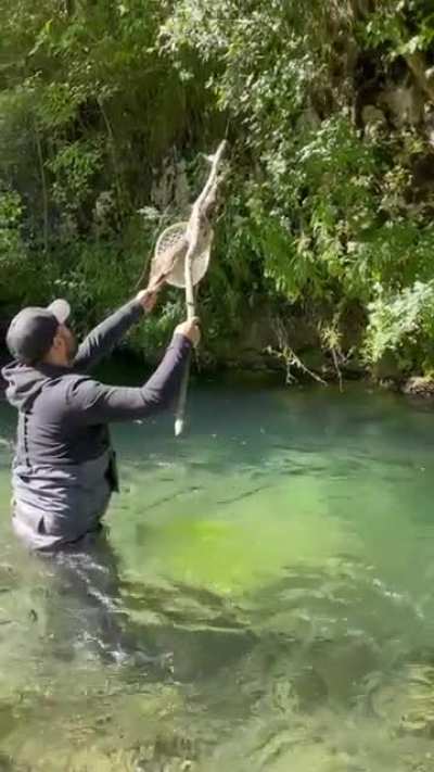 Terrified owl was so thankful to the guy who saved his life