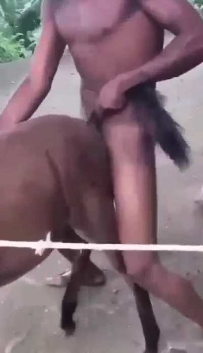 Cursed_anal sex