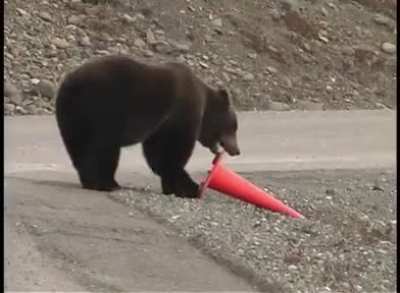 Bro Bear is against vandalism.