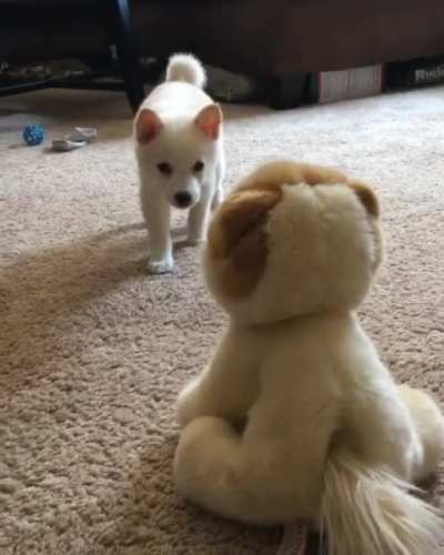 What&rsquo;s that over there?!?! Gotcha!
