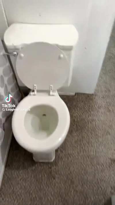 pee pee