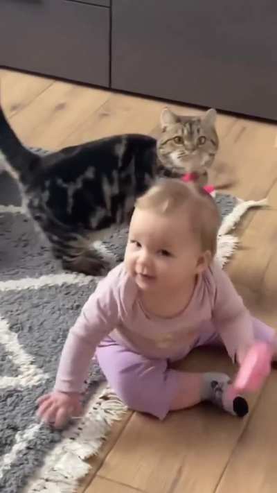 Let me touch! 