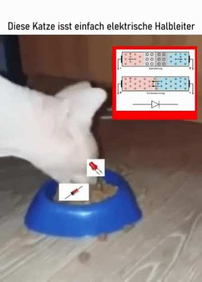 Wass f&uuml;r ain dumer gadser