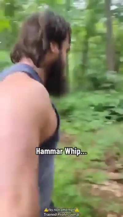 Hammar whip