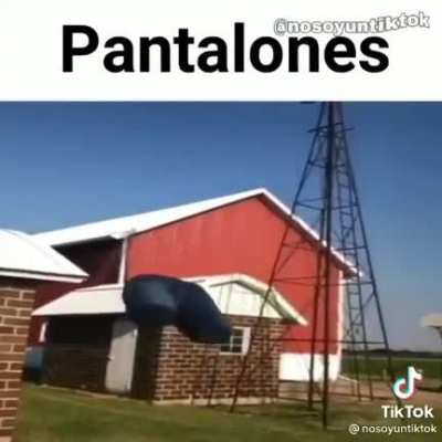 POV el POV