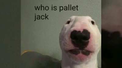 Phone made a video with pics from my gallery