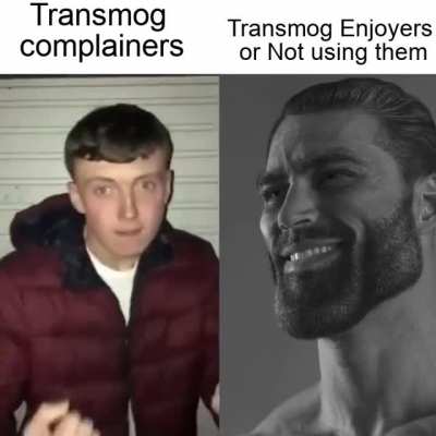 Y'all don't shut up about the transmogs