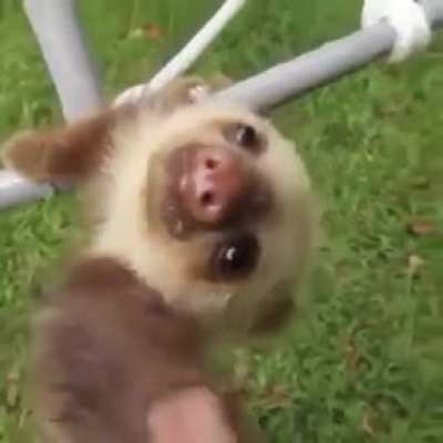 AAaa