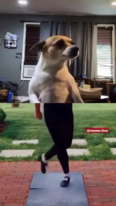 Kkkkkkkk