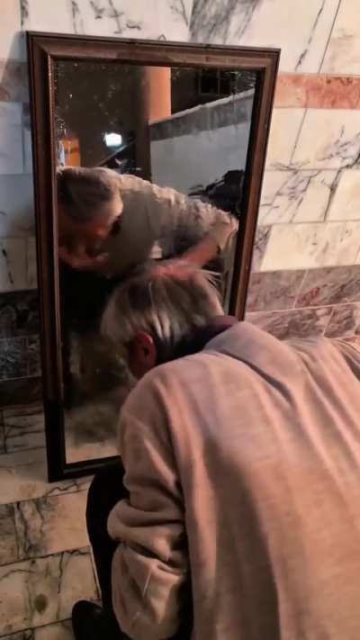Abuelo?