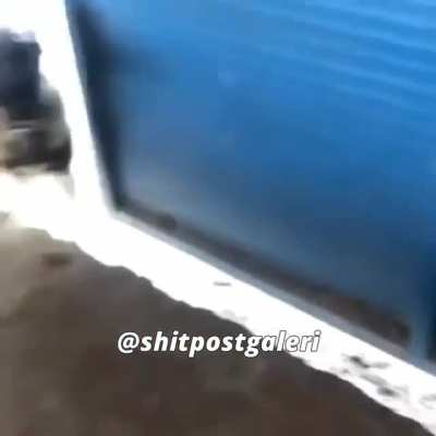 Ne bakıyon amına kodumun evladı