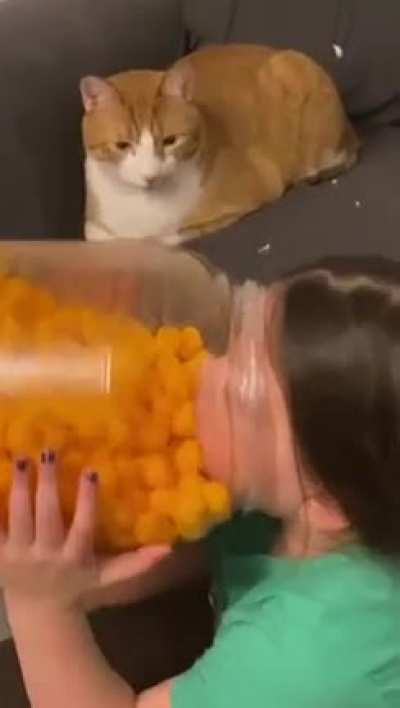 &ldquo;This is your child, Sharon.&rdquo;