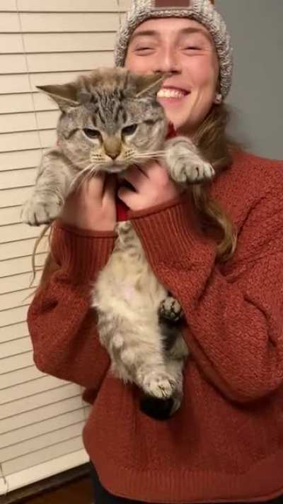 Put a Christmas sweater on my brothers cat. He didn&rsquo;t know what to do