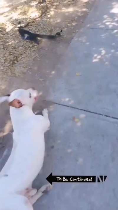 It is at this moment she realized she fucked up