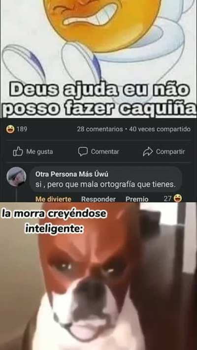 tiene un iq mayor al promedio