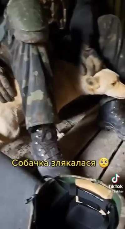 Little dog trembling in fear from the shelling is consoled by our defenders "I know you're scared .... I'm scared, too". He tells her.