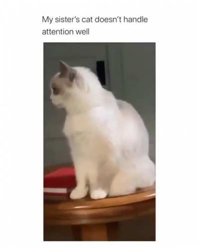 Mrw when I get a compliment from a stranger