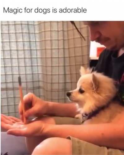 woof_irl