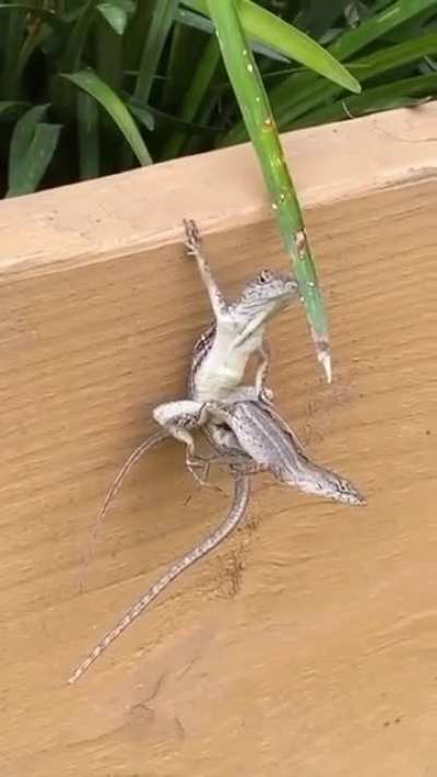 What's going on here