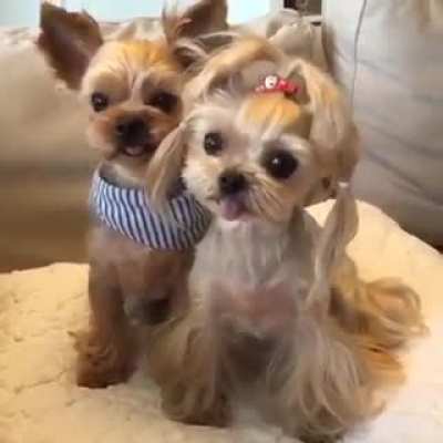 Cute couple