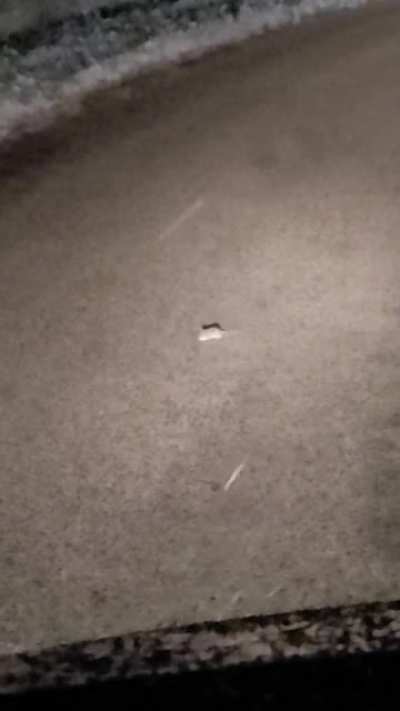 Country roads at night can get weird in Wisconsin.