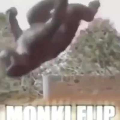 monky flip