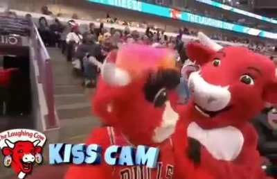Kiss cam