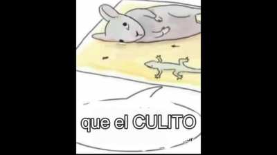 Consejo de un pejelagarto