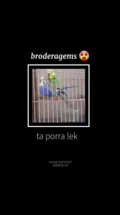 Brodeiragem?