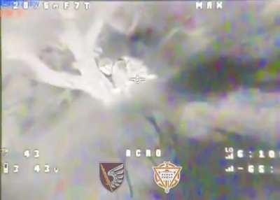 Daily work of FPV pilots from shock BpAk 79 ODSHBr company "PERUN GROUP"