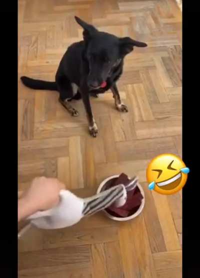 Buddy&rsquo;s never eating that again