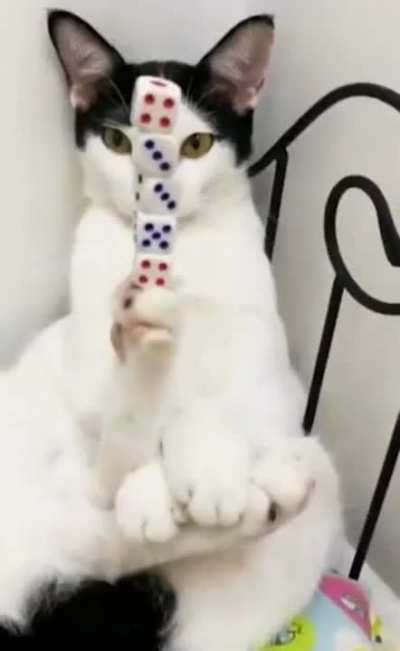 "Are we done yet!?"