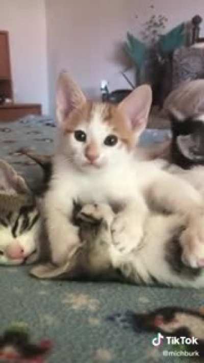Mlem.