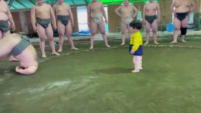 A toddler defeats a sumo wrestler, becomes super happy!