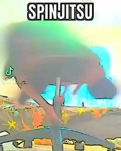 SPINJITSU