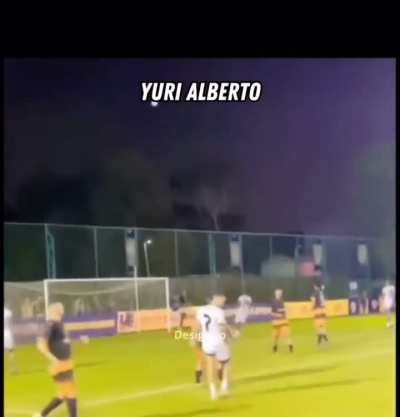 futebol brasileiro &amp;gt; 