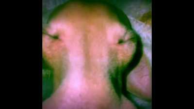 average aphex twin enjoyer taking a nap