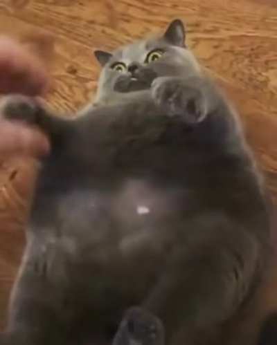 Не тронь меня! А то я... лизну!