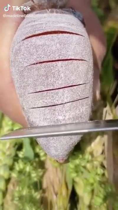 oops.. fruit