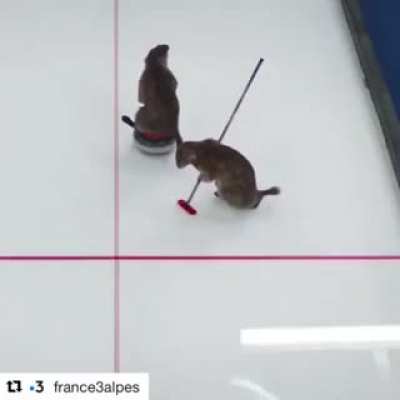 Some haters will say it&rsquo;s fake
