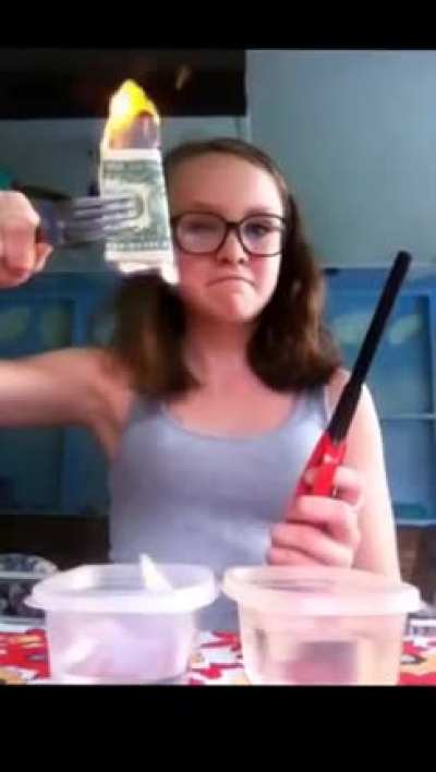Girl tries to do a science experiment, instead lights everything on fire