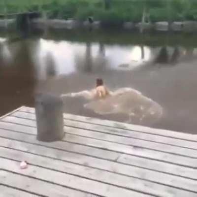 Jumping in before checking the water level