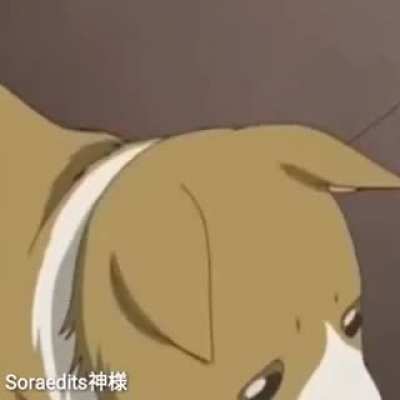 ESSE &Eacute; O &Iacute;DOLO DE VCS?😭😭😭