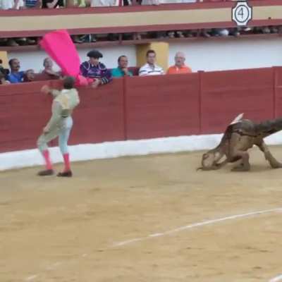 Hace muchos a&ntilde;os se toreaban velociraptores. Hubo quejas, se dej&oacute; de hacer y por ese motivo los dinosaurios se extinguieron.