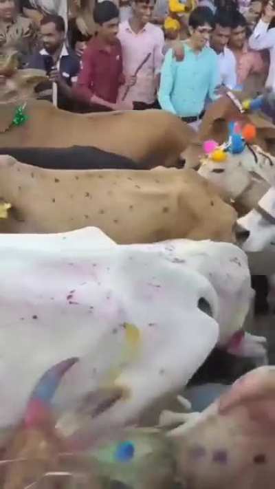 Massages in India be like