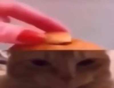 . . .