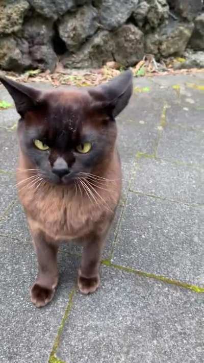 Bruce was not in a good mood.